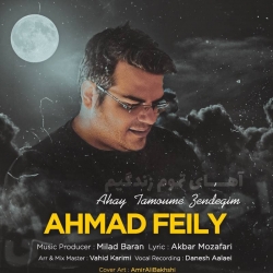 دانلود آهنگ غمگین آهای تموم زندگی از احمد فیلی